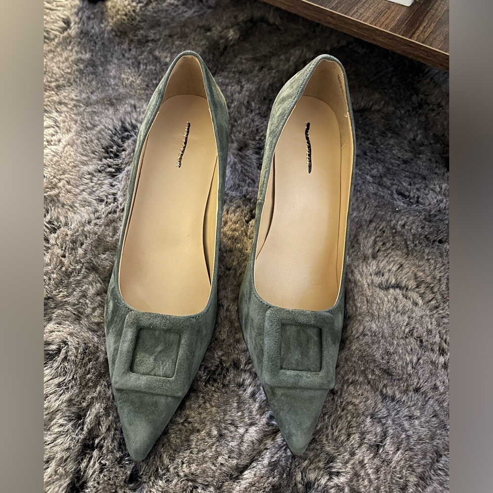 New without tags: Buckle Pointy Toe Suede Pumps